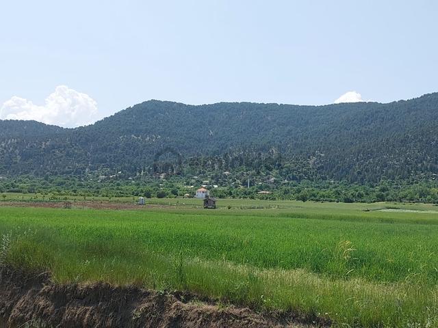 Çameli Bıçakçı’da Satılık Kelepir Arazi – 5.333 M² Müstakil Tapulu 3