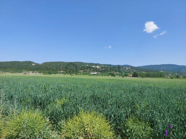 Çameli Bıçakçı’da Satılık Kelepir Arazi – 5.333 M² Müstakil Tapulu 4