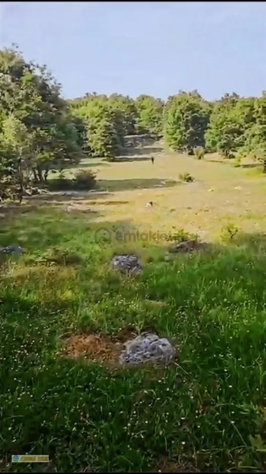 Gönen Şaroluk Mahallesin De Yatırımlık Değerli Arazi