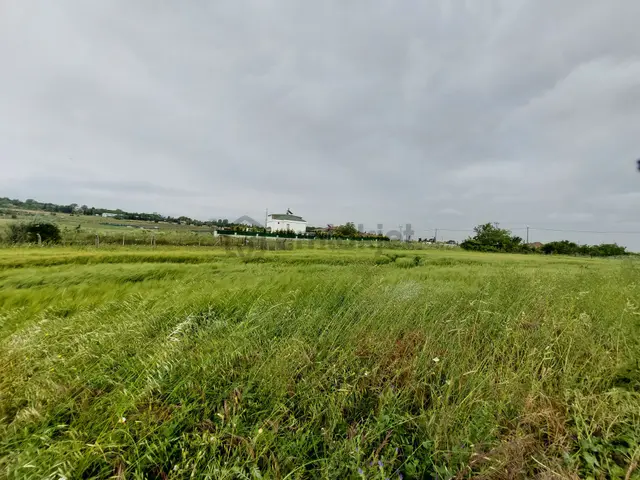 Büyükçekmece Eskice De Tek Tapu 500 M² Tel Çevrili Kapılı Kuyusu Var Meyve Ağaçları Var Yolu Var 3