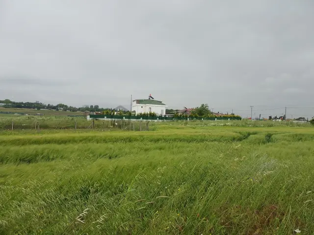 Büyükçekmece Eskice De Tek Tapu 500 M² Tel Çevrili Kapılı Kuyusu Var Meyve Ağaçları Var Yolu Var 2