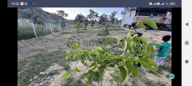 Torbalı Çapak 585 Mk Miras Hisse İçinde Ev Var. 1