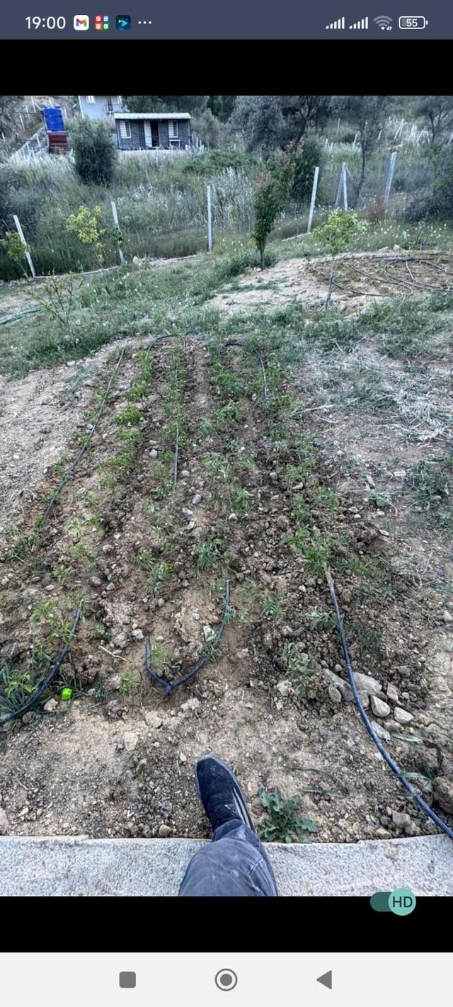Torbalı Çapak 585 Mk Miras Hisse İçinde Ev Var. 5