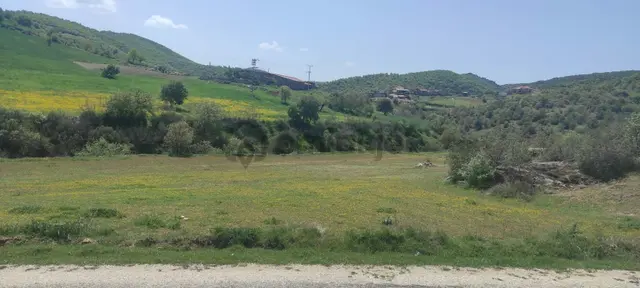 Manisa Kula Aktas Koyundeasfalta Cephe Yatirimlik Cok Guzel Tarla 3