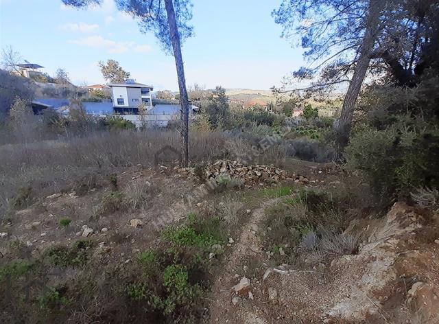Seydikemer Seydiler'de 2.045 M2 Satılık Arazi 4