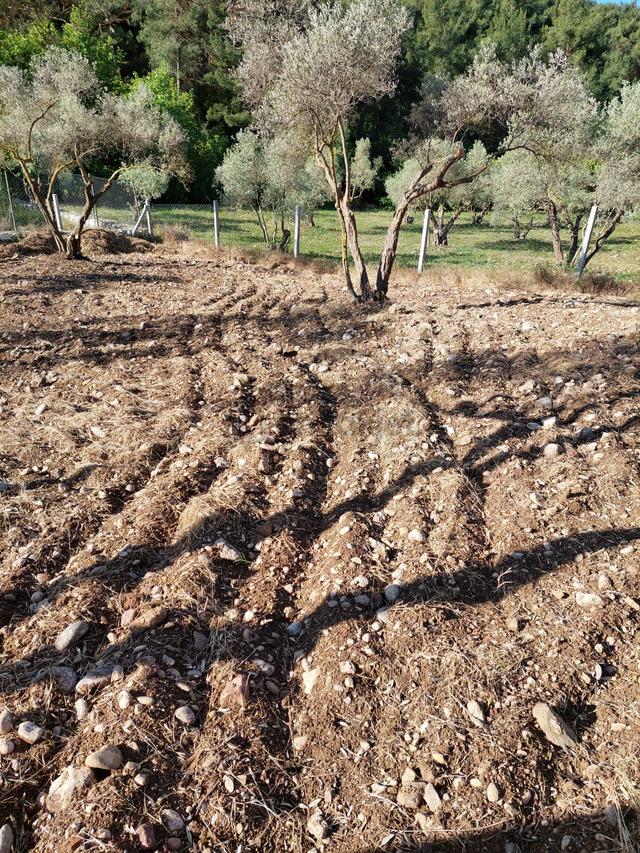 Sahibinden Buca Belenbaşı'nda Asfalt Yol Üzerinde Satılık Arsa 5
