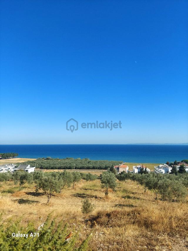 Tekirdağ Şarköy Eriklicede 2
