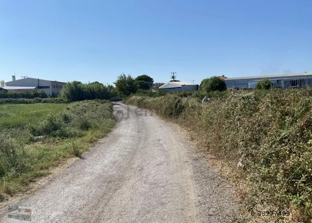 Balıkesir Ayvalık Ta Satılık 12,390 Metre Kare Arsa. 3