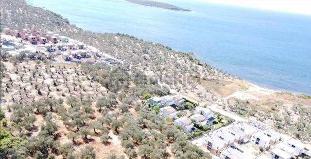 Balıkesir Gömeç Te Satılık 4,000 Metre Kare Villa İmarlı Arsa. 3