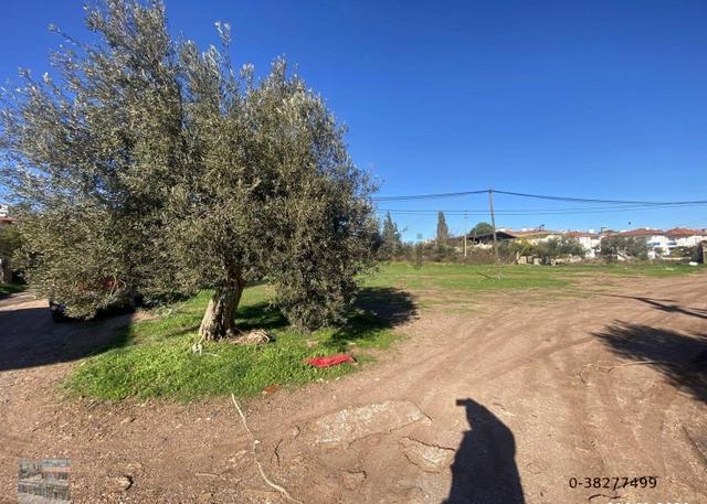 Ayvalık Cunda Da Satılık 3479 Metre Kare Arsa 3