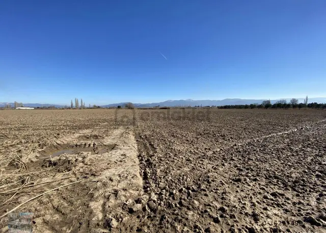 Balıkesir Burhaniye De Satılık 74.000 Metre Kare Tarla 1