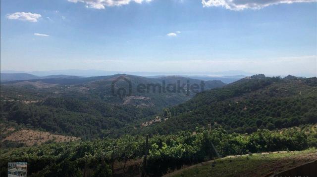 Balıkesir Gömec Kobaşlar Da Satılık 10,000 Metre Kare Bağ Evi Arsası 4