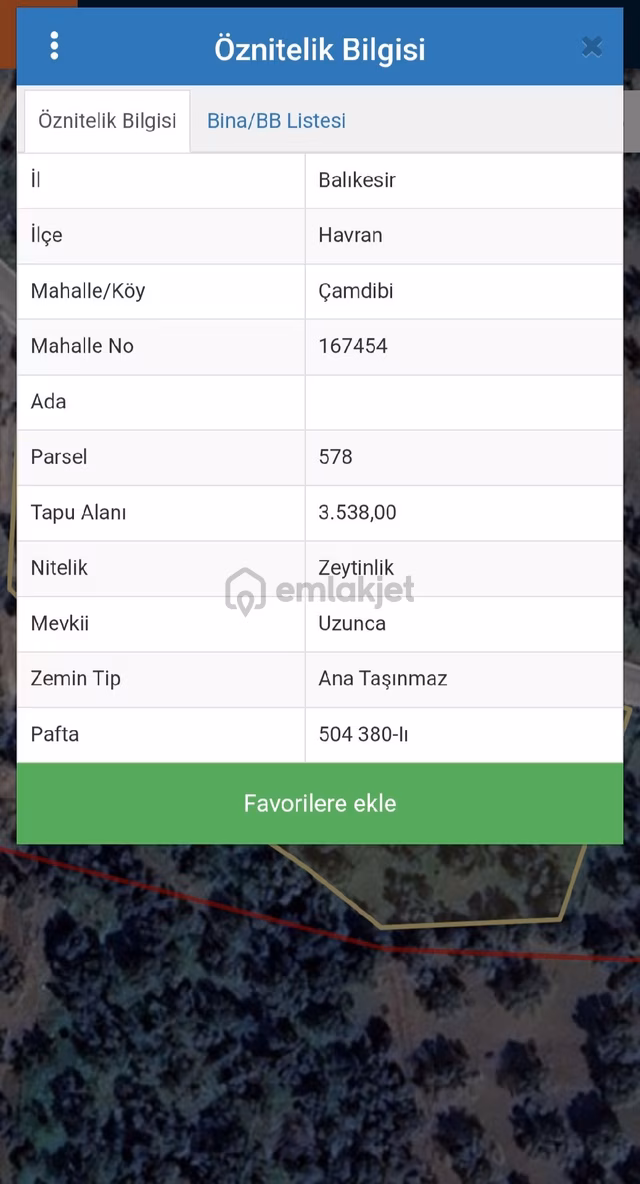 Ana Yola Cephe Içinde Suyu Oan Zeytinlik 2