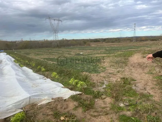 Kirklareli Merkez Asılbeyli 8 Dönüm Tarla Satılık 1