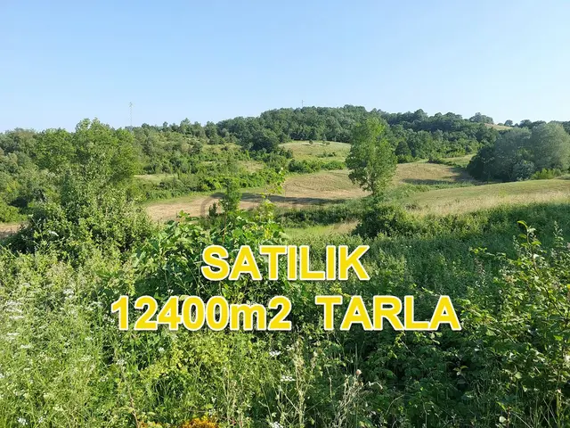 Bursa M.kemalpaşa Yalıntaşta Satılık İmarsınırına Yakın 12400m2 Tarla 2