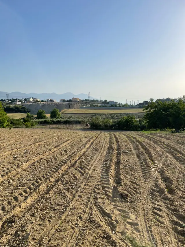 Kuşadası Yaylaköyde 36.000 M2 Arazi 5