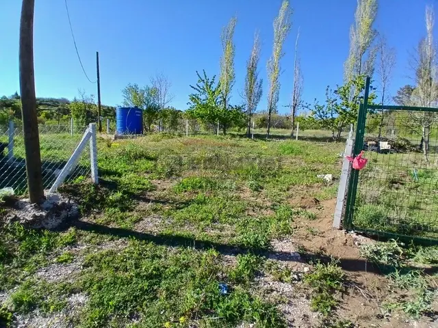 Güvenay - Çorum Barajı Kuzeyi 320 M² Satılık Bahçe 2