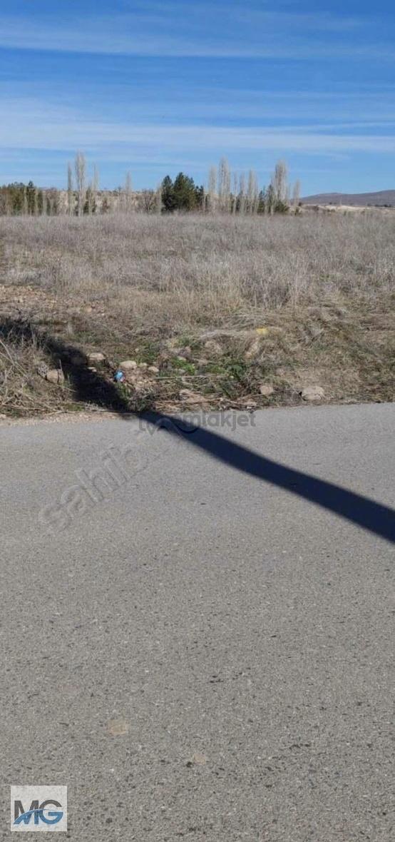 Seydışehır Tol Da Takaslı Harika Konumda Tek Tapu 1700 M2 Tarla 5