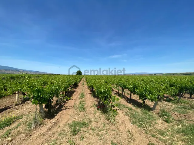 Ada Gayrimenkul'den Kavaklıdere Mah.de 17.921 M² Satılık Bağ 2