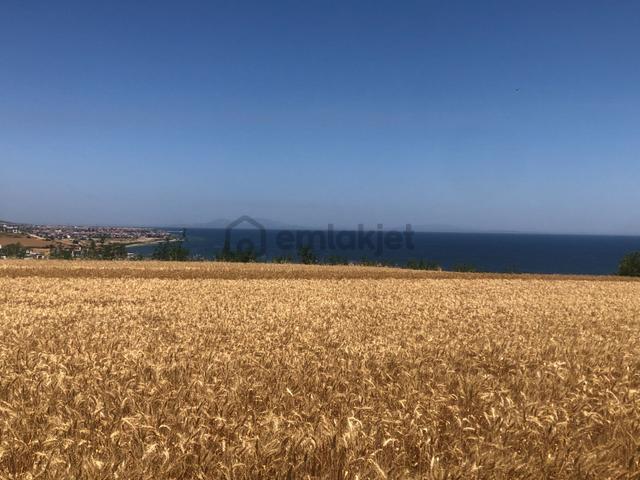 Şarköy De Işık Emlaktan İstiklal Mah De 372 M2 0/25 İmarlı Arsa 5