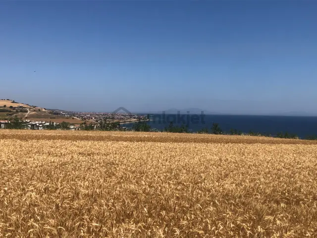 Şarköy De Işık Emlaktan İstiklal Mah De 372 M2 0/25 İmarlı Arsa 1