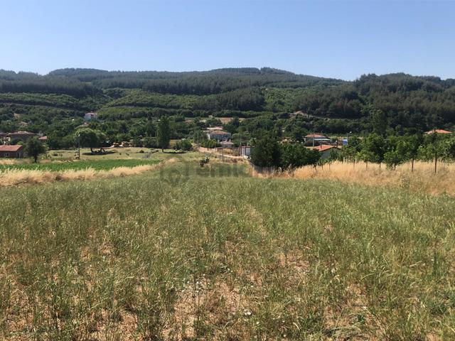 Şarköy De Işık Emlaktan Gölcuk Mah De İki Tapu 4750 M2 0/75 İmarlı Arsa 1