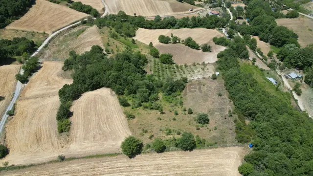 Kocaeli Karamürsel Avcıköy Satılık Tarla 8791 M2 3