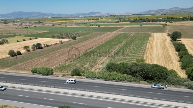 Bergama Kurfallı Da Çanakkale Asfaltına Sıfır Satılık Tarla 4