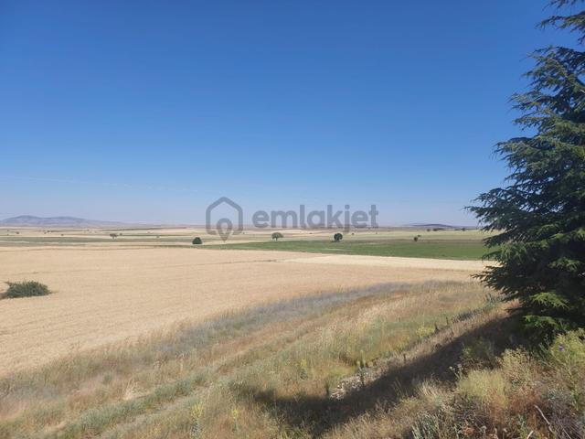 Seyitgazi Sarayörende Yola Sıfır Satılık Tarla 1