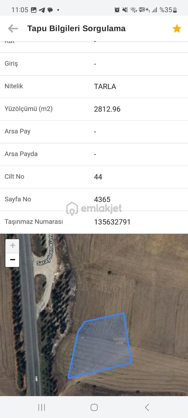 Seyitgazi Sarayörende Yola Sıfır Satılık Tarla 4