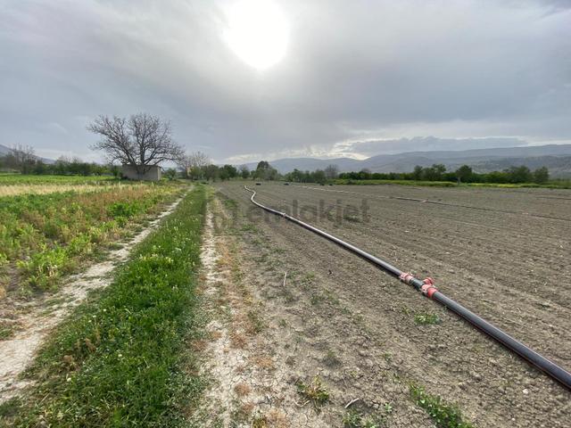 Isparta Senirkent Merkezine Çok Yakın Verimli Satılık Tarla 3