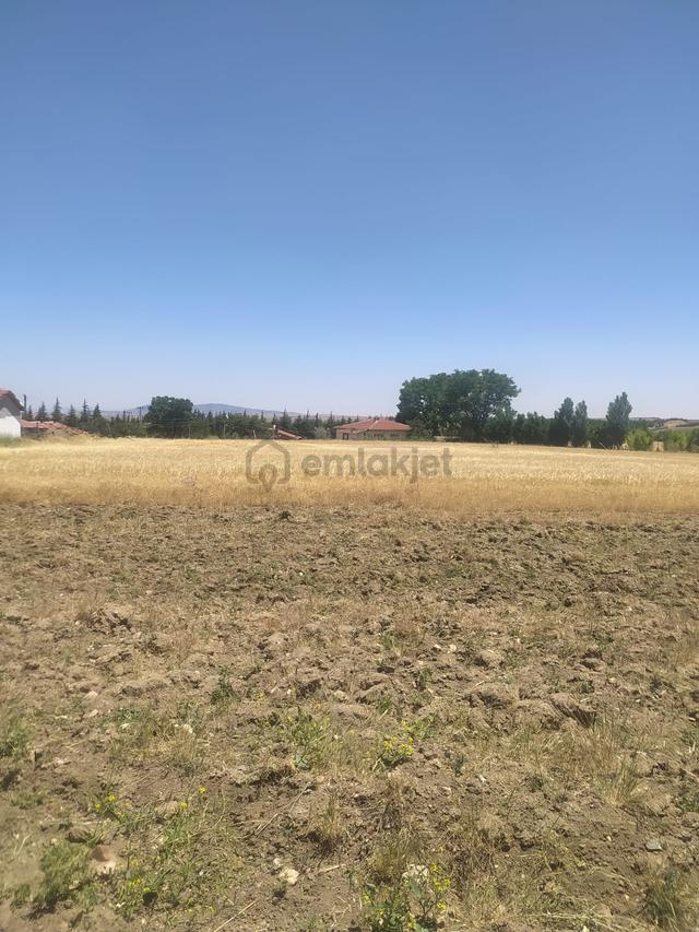 M-88 Taşlıkköy Mahallesi Satılık Çiftlik 1