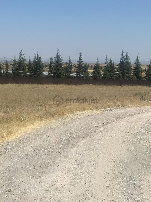 M-88 Taşlıkköy Mahallesi Satılık Çiftlik 5