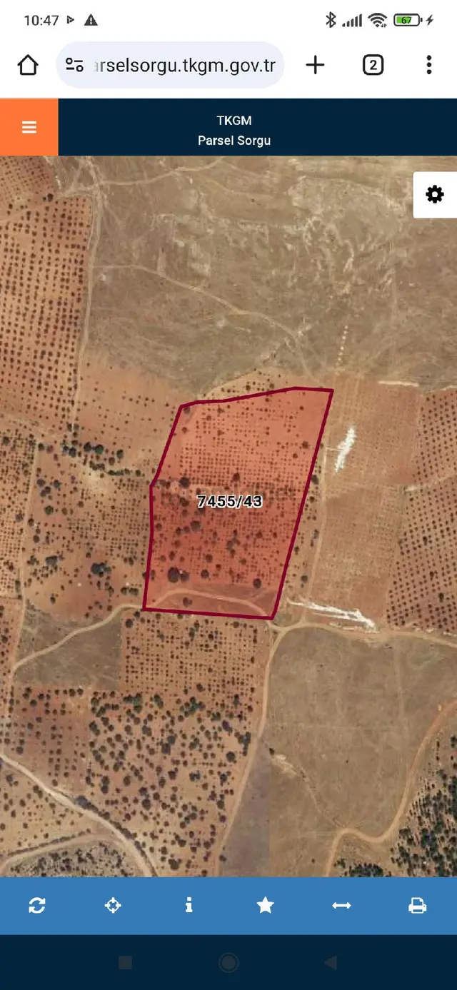 Bilek Yatırımlık Arazi 4