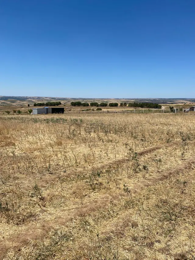 İstanbul Değirmenköy Satılık Arsa 255m2 2