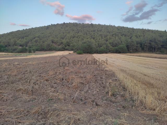 1 Dönüm Resmi Yolu Olan Yatırımlık Merkeze Yakın Arazi Osmnlıdan 4