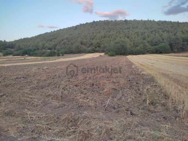 1 Dönüm Resmi Yolu Olan Yatırımlık Merkeze Yakın Arazi Osmnlıdan 3