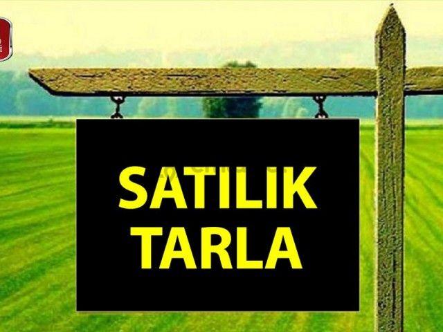 Cafana'da Satılık Tarla Cafana'da Satılık Tarla