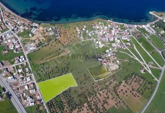 Yenifoça Gencellide Denize 250m Mesafede Satılık Arsalar 4