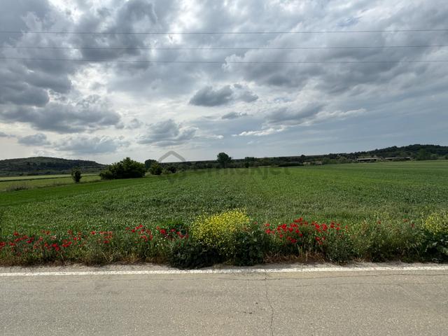 Malkara Karaidemir'de 6756 M² Sulamaya Elverişli Verimli Tarla – Ova İçinde 4