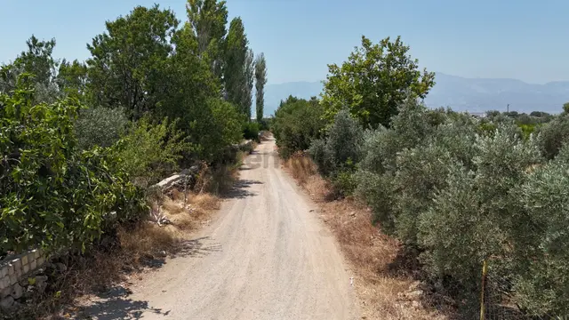 Döşemealtı Çıplaklı Mahallesinde Satılık Zeytin Bahçesi 5718 M2 3
