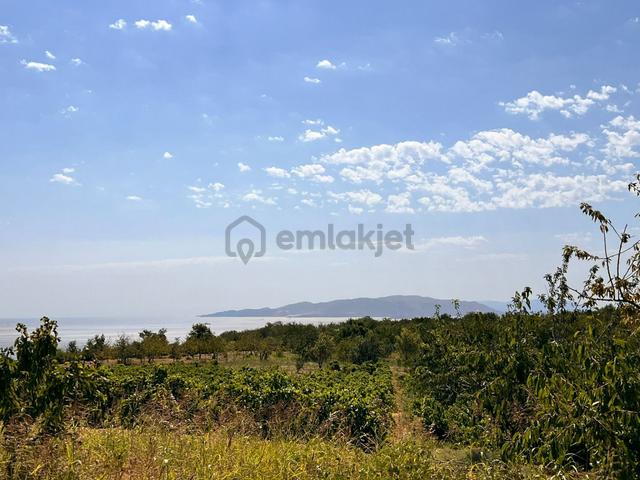 Şarköy Kirazlı Mahallesinde Deniz Manzaralı Üzüm Ve Kiraz Bahçesi 5