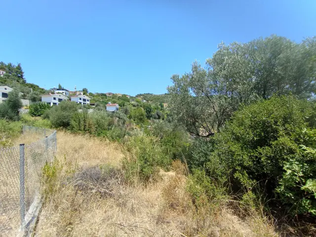 Sederihisar Orhanlı Tek Müstakil Tapu 1920 M2 3