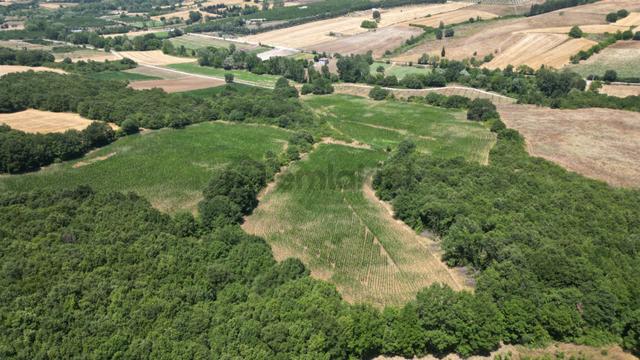 Kocaeli Karamürsel İnebeyli Mahallesi Satılık Tarla 14858 M2 5