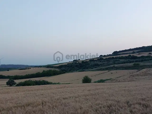 Bursa Karacabey Çamlıcada Anayola Yakın Satılık Yatırımlık 7300m2 Tarla 3