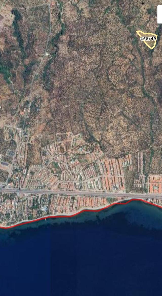 Irmaksudan Avcılar Da 11 Dönümlük Zeytinlik 2