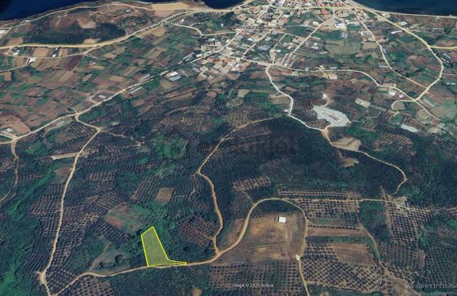 Bandırma / Sahil Yenice Mahallesinde Merkeze Yakın Satılık Arazi 4