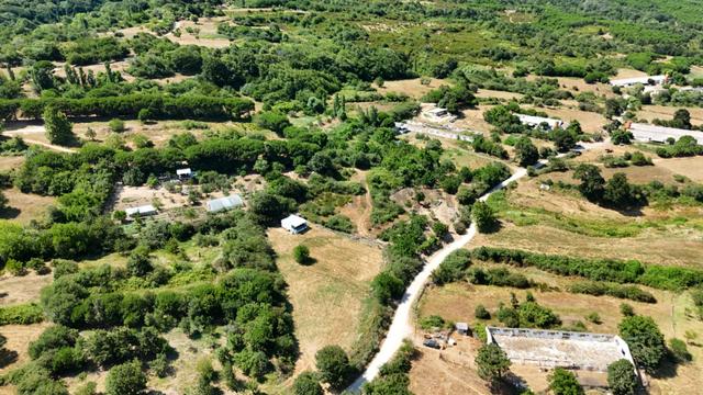 Çalışkanlar Group Gyo'dan 1438 M2 Köy İçine Yakın Tarla 3