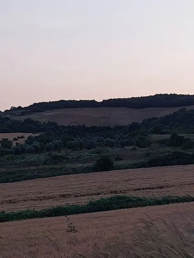 Bursa Karacabey Çamlıcada Anayola Yakın Satılık Yatırımlık 7300m2 Tarla 2