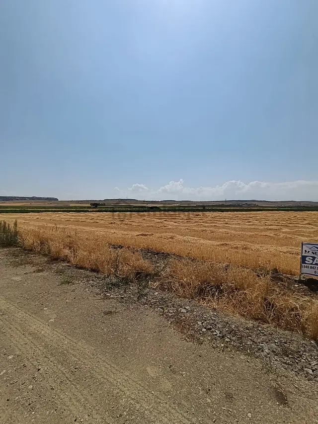 Turgutlarda Satılık Tarla 3
